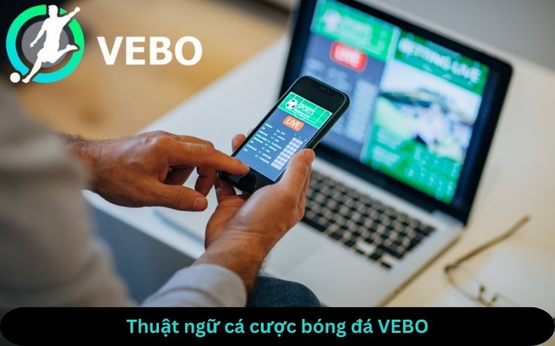 VEBO giải thích những thuật ngữ cá cược bóng đá cơ bản