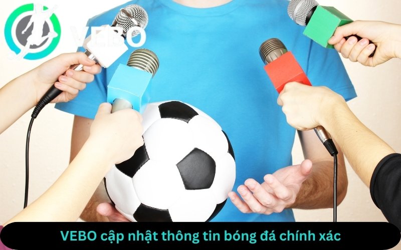 VEBO thương hiệu cá cược trực tuyến hàng đầu Việt Nam