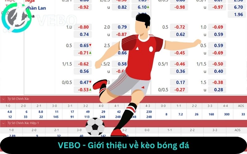 VEBO - Giới thiệu về kèo bóng đá