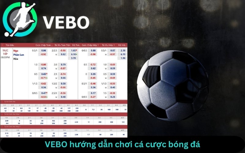 hướng dẫn cách chơi cá cược bóng đá tại trang VEBO