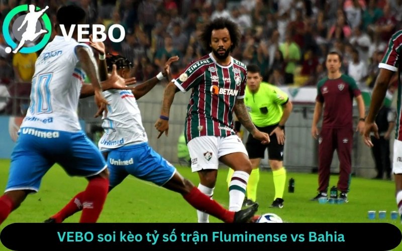 VEBO soi kèo tỷ số trận Fluminense vs Bahia