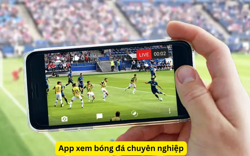 App xem bóng đá chuyên nghiệp